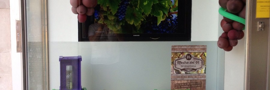 Guanyadors del IV Concurs d'Aparadors de la Mostra del Vi de l'Empordà 2015